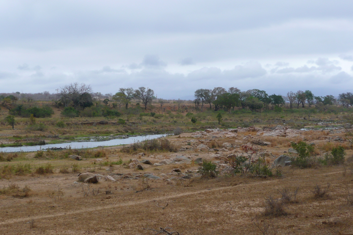 Picture South Africa Kruger National Park Crocodile River 2008-09 69 - Savings Crocodile River