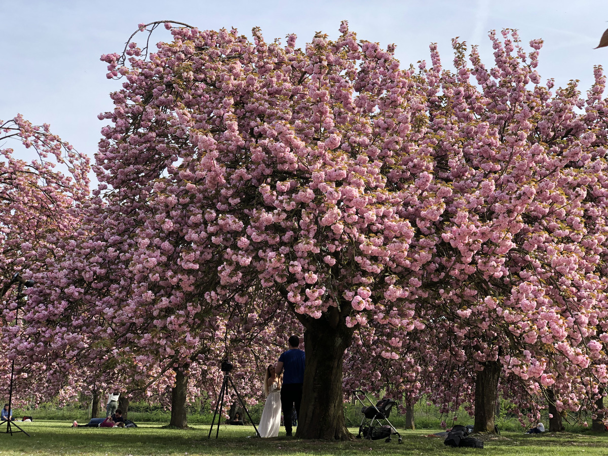 Picture France Parc de Sceaux 2019-04 31 - Rental Parc de Sceaux