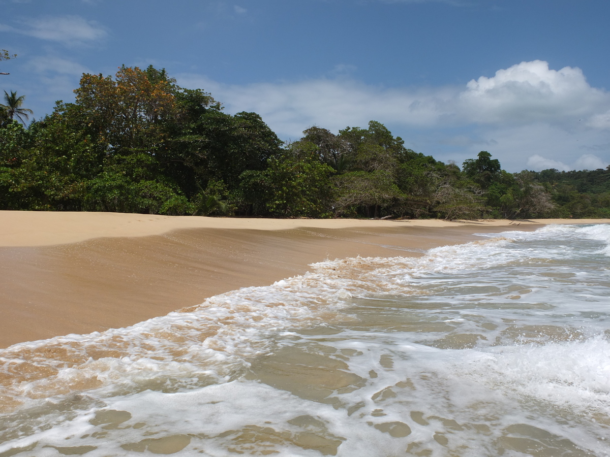 Picture Panama Bastimentos 2015-03 60 - Monuments Bastimentos