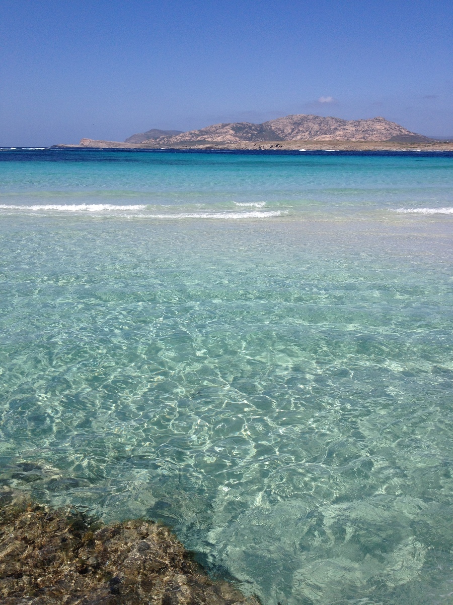 Picture Italy Sardinia Capo del Falcone 2015-06 67 - Lands Capo del Falcone