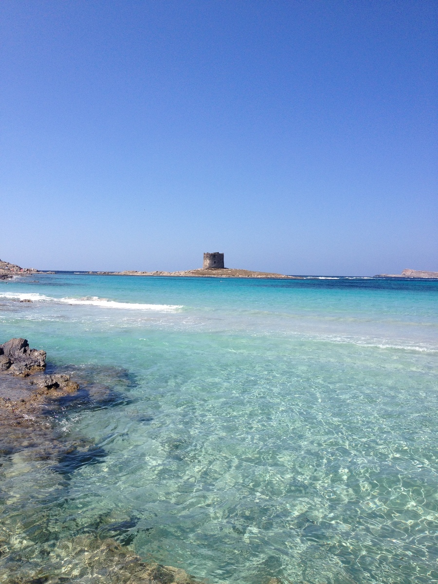 Picture Italy Sardinia Capo del Falcone 2015-06 61 - Waterfall Capo del Falcone