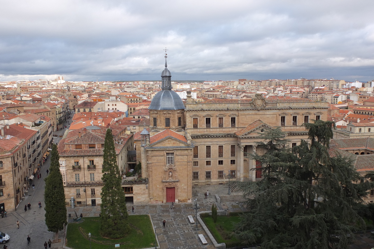 Picture Spain Salamanca 2013-01 181 - Monument Salamanca