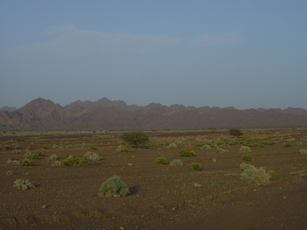 Picture Sultanate of Oman Buraimi to Mahada road 2005-03 24 - Hot Season Buraimi to Mahada road