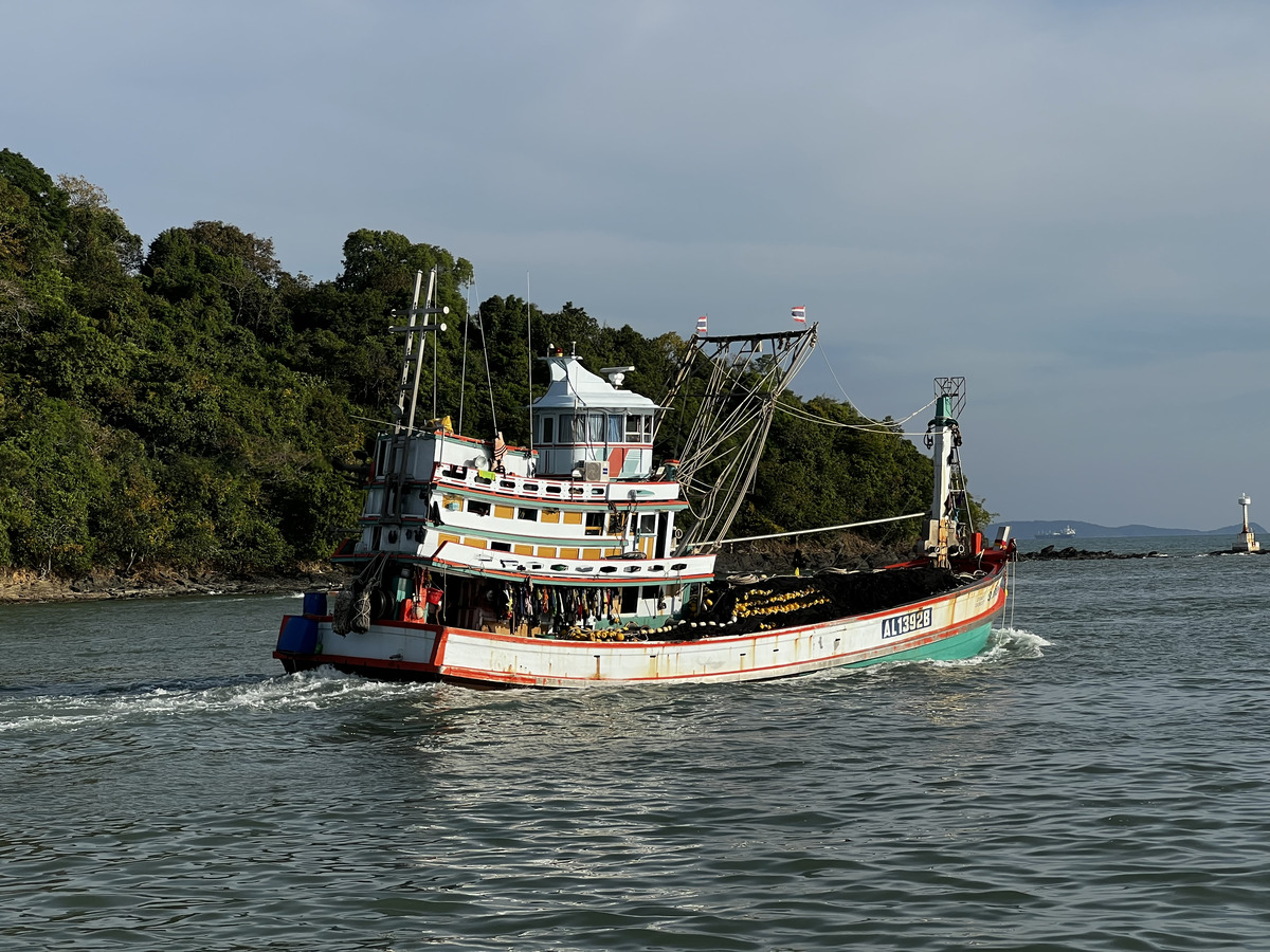 Picture Thailand Ko Phi Phi to Phuket Ferry 2021-12 17 - Price Ko Phi Phi to Phuket Ferry