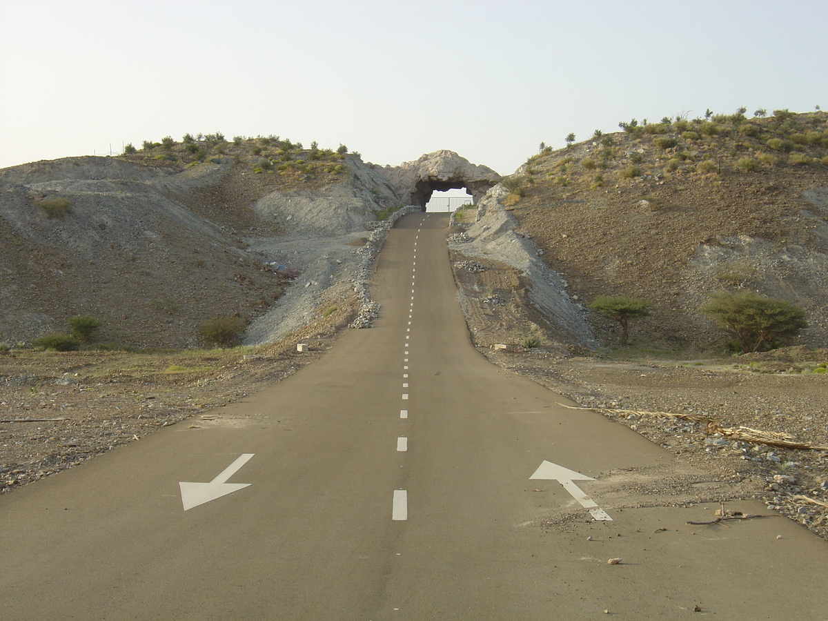 Picture Sultanate of Oman Buraimi to Mahada road 2005-03 22 - Night Buraimi to Mahada road