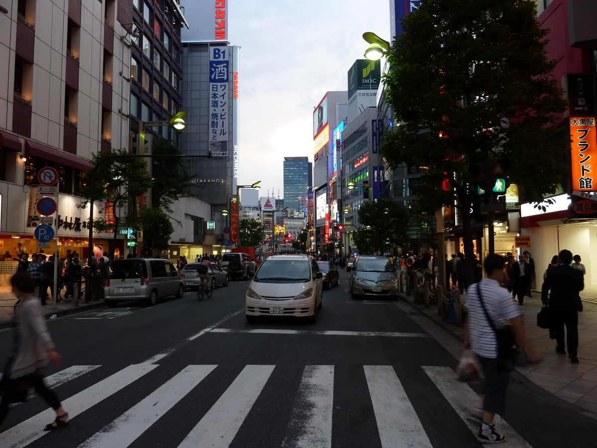 Picture Japan Tokyo Shinjuku 2010-06 41 - Streets Shinjuku