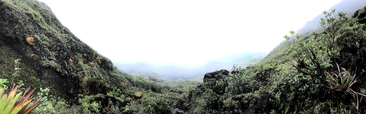 Picture Guadeloupe La Grande Soufriere 2021-02 67 - Lakes La Grande Soufriere