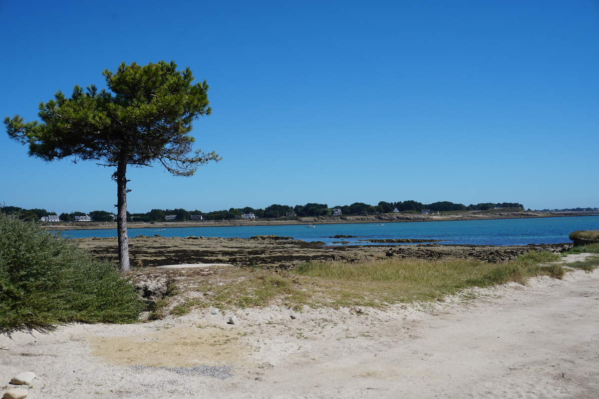 Picture France La Trinite-sur-Mer 2016-08 27 - Hot Season La Trinite-sur-Mer