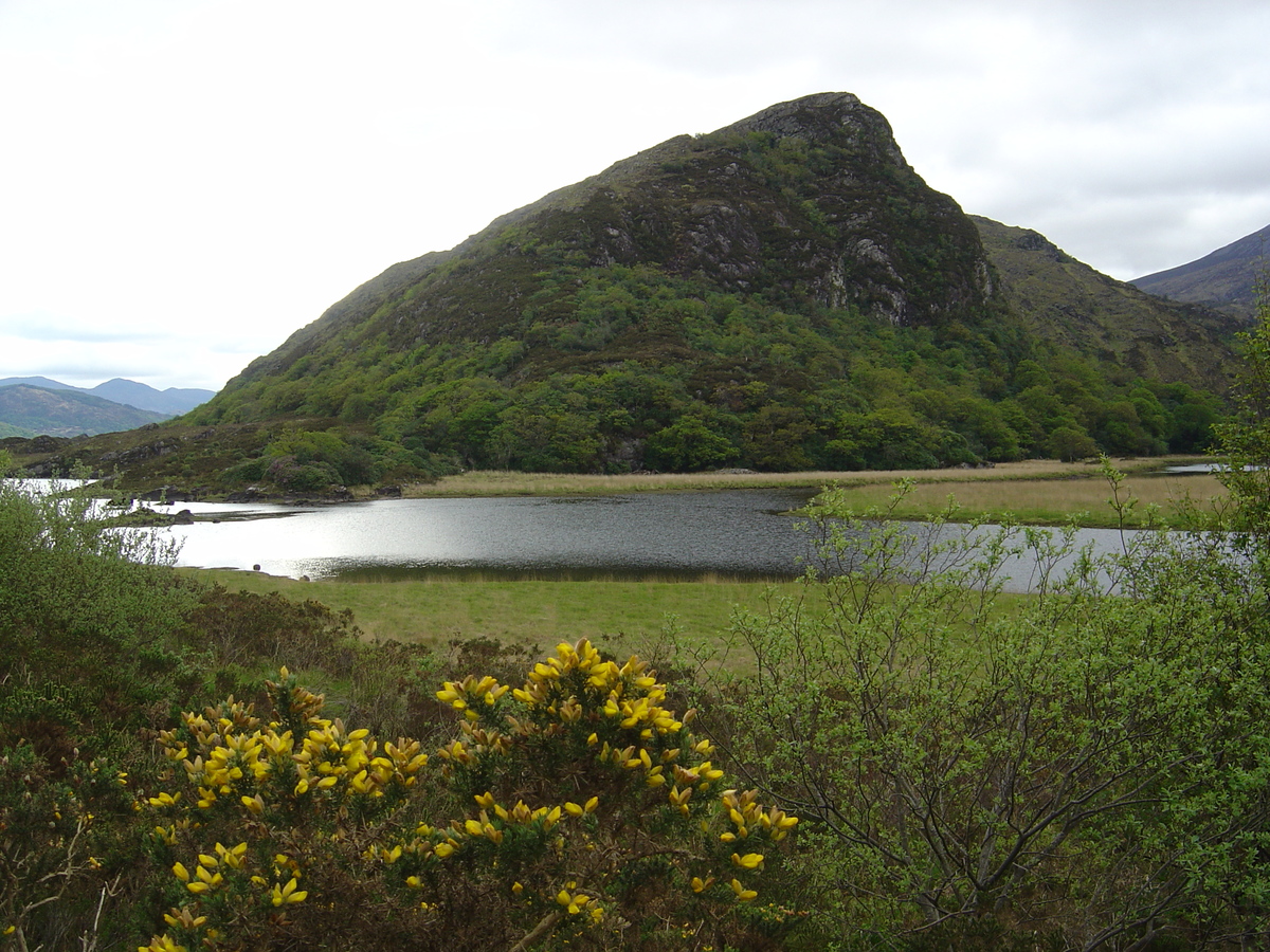 Picture Ireland Kerry Killarney National Park 2004-05 35 - Monuments Killarney National Park