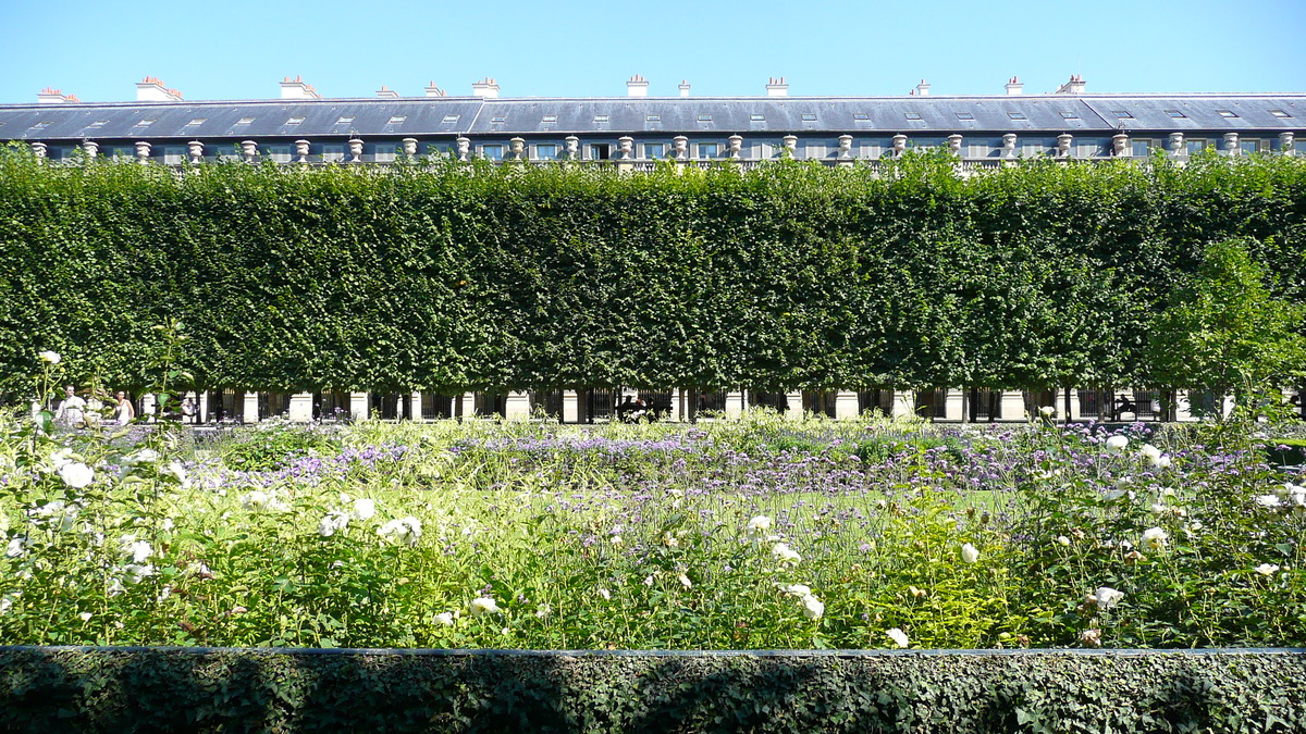 Picture France Paris Palais Royal 2007-08 26 - Restaurant Palais Royal