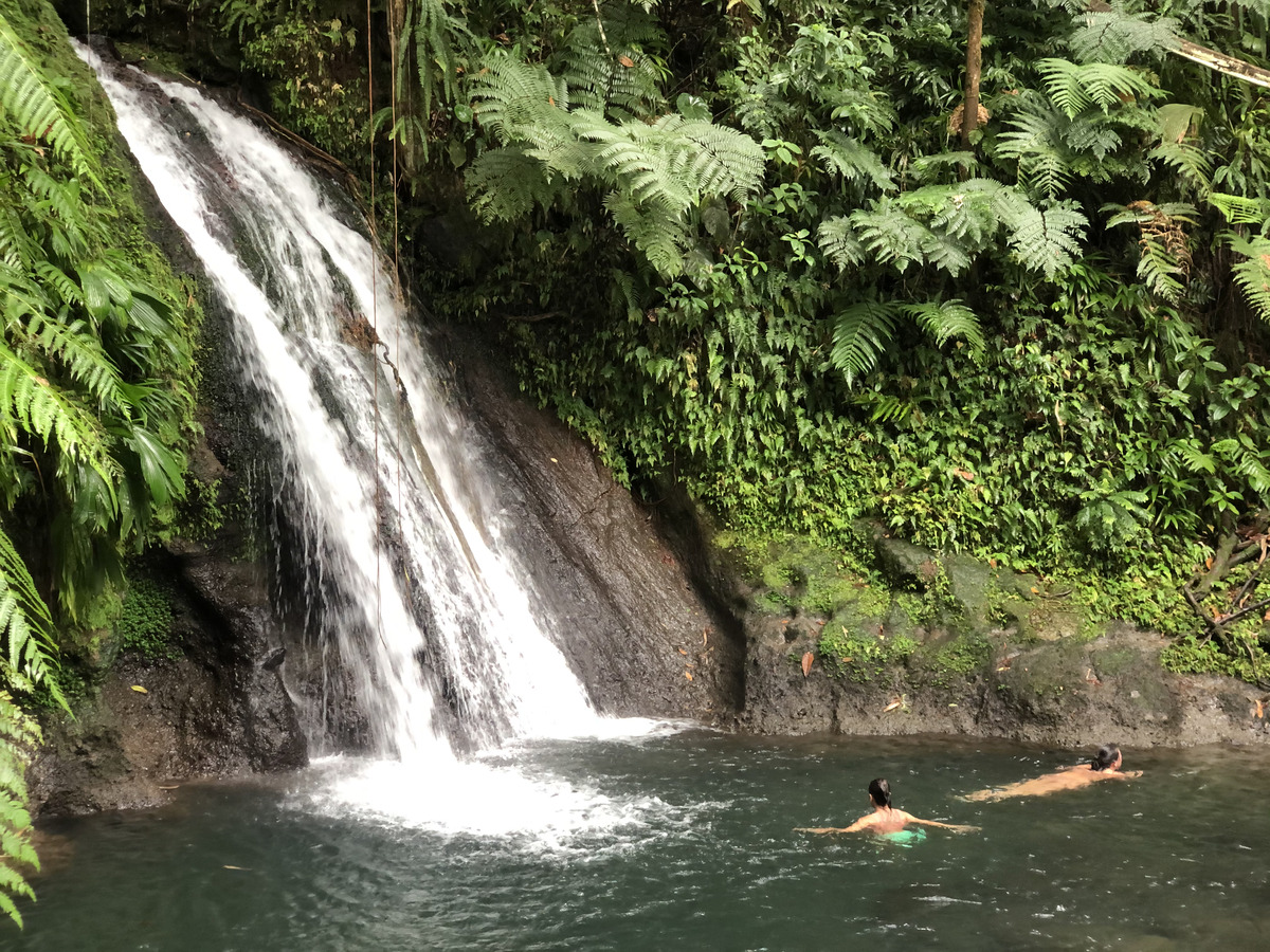 Picture Guadeloupe Cascade aux ecrevisses 2021-02 9 - Rooms Cascade aux ecrevisses