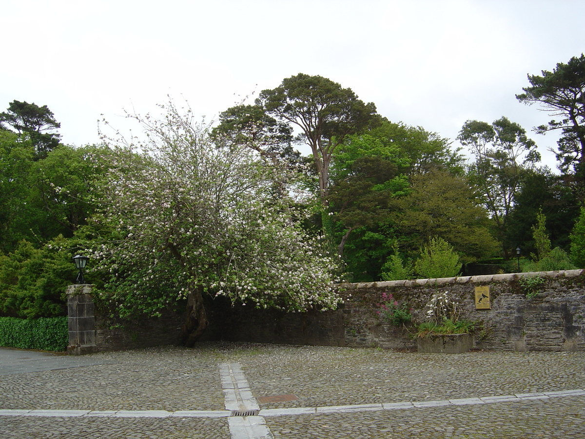 Picture Ireland Kerry Killarney National Park Muckross House 2004-05 43 - Sauna Muckross House