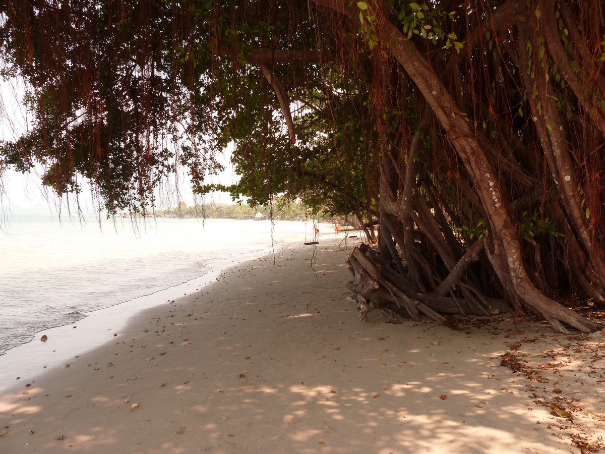 Picture Thailand Ko Chang Klong Prao beach 2011-02 102 - Night Klong Prao beach