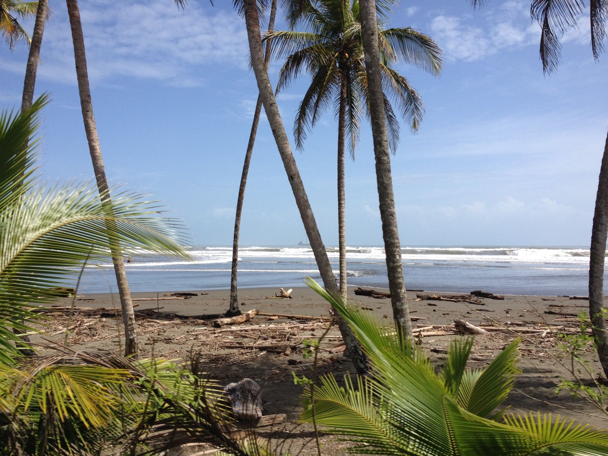 Picture Costa Rica Limon to Siquirres 2015-03 0 - Restaurant Limon to Siquirres