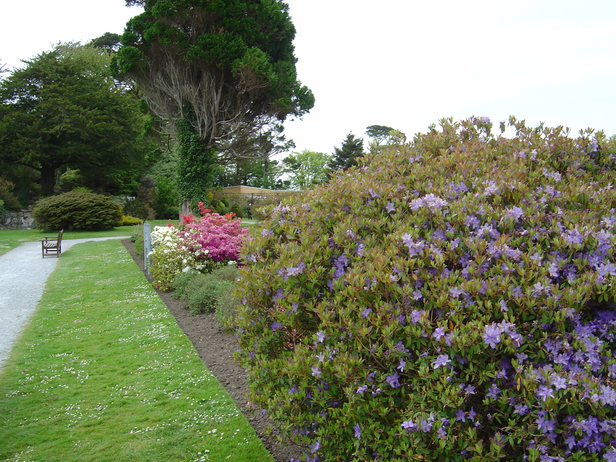 Picture Ireland Kerry Killarney National Park Muckross House 2004-05 6 - Hotel Muckross House