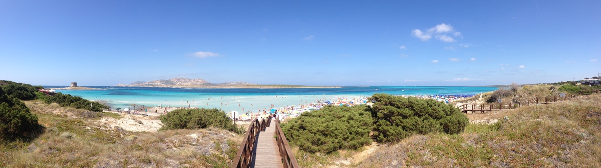 Picture Italy Sardinia Capo del Falcone 2015-06 13 - City View Capo del Falcone