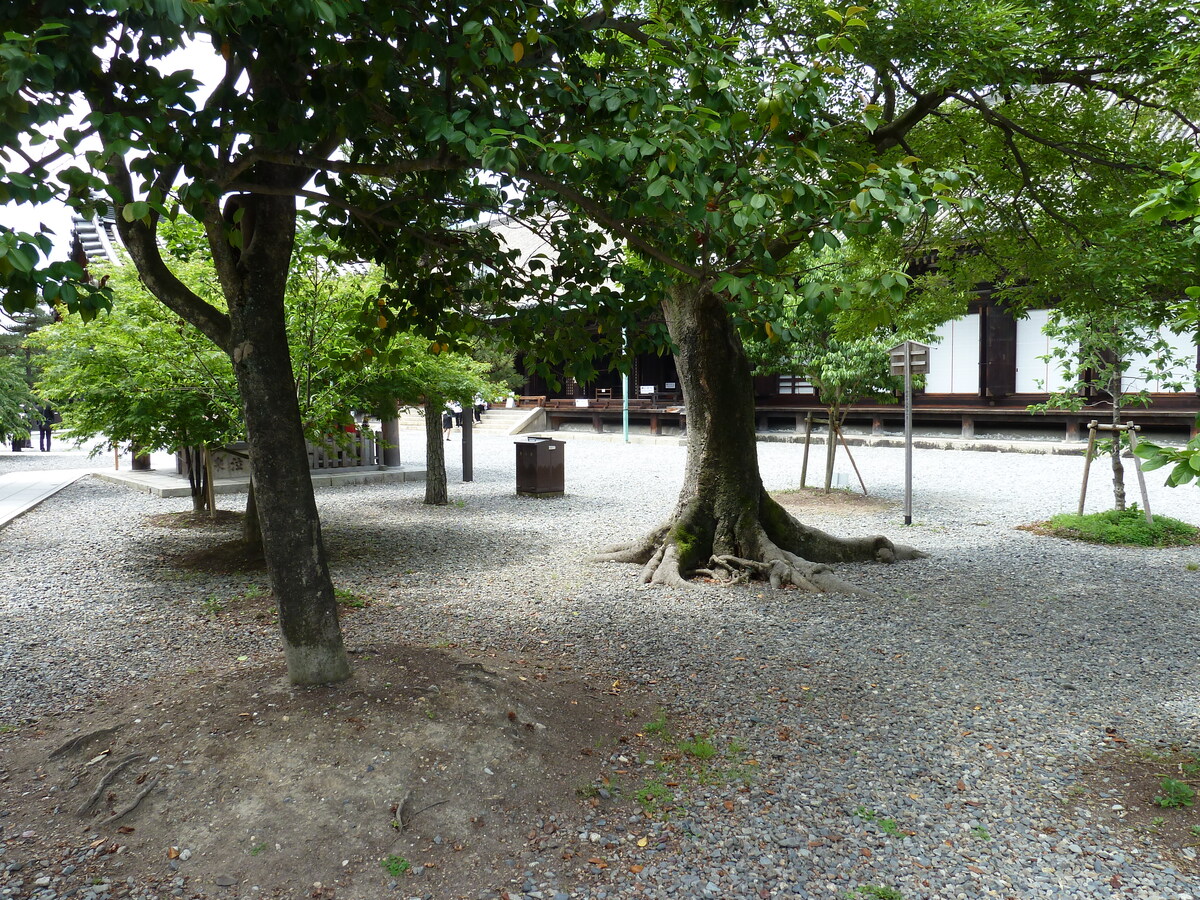 Picture Japan Kyoto Sanjusangendo temple 2010-06 36 - Monuments Sanjusangendo temple