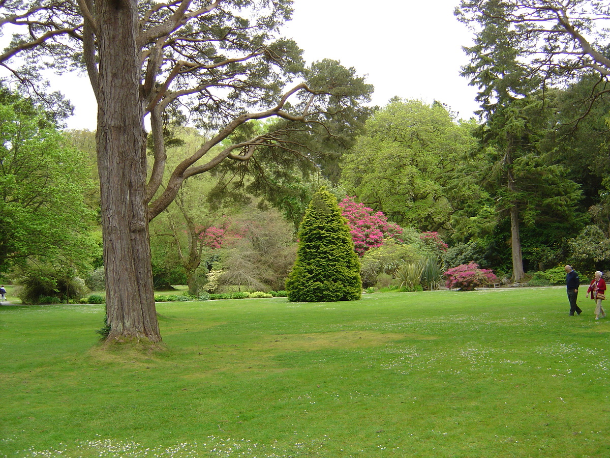 Picture Ireland Kerry Killarney National Park Muckross House 2004-05 10 - City Sight Muckross House