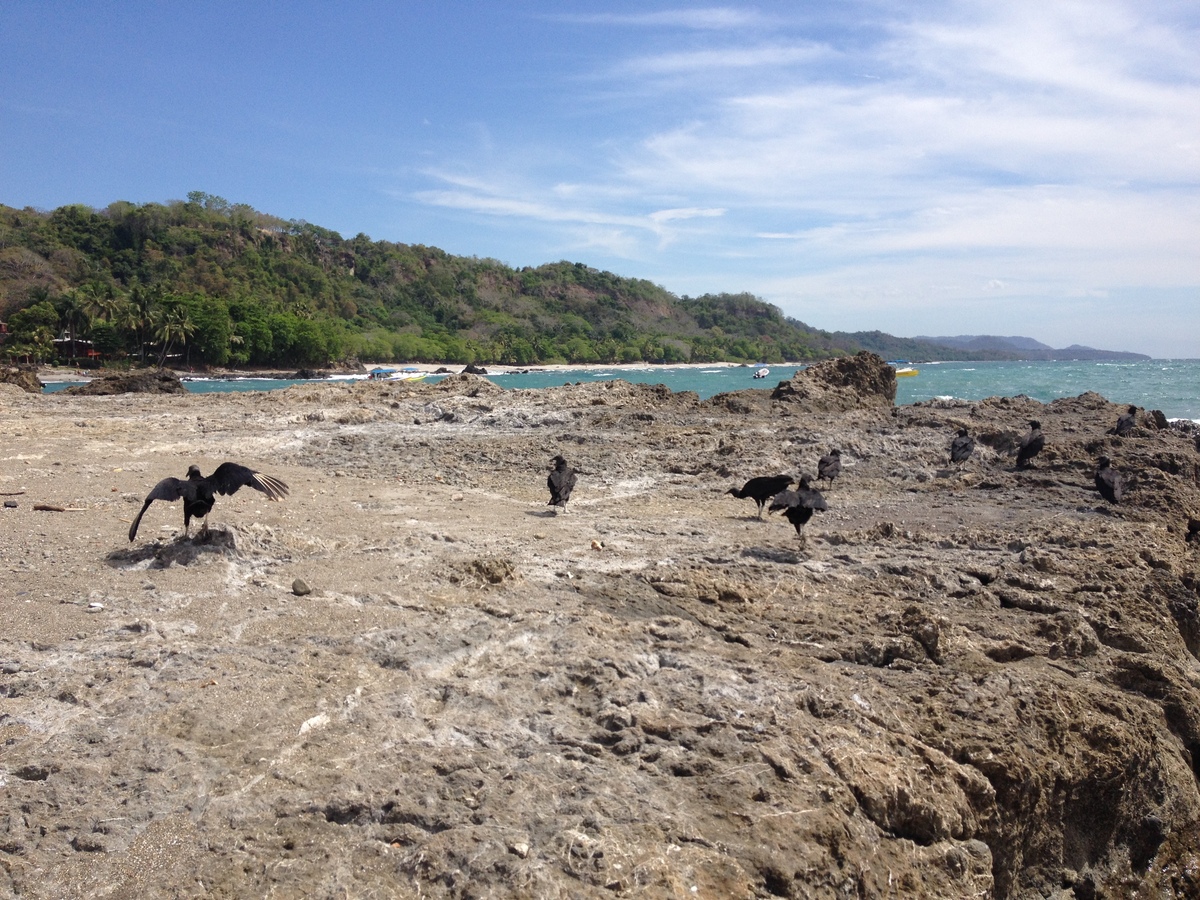 Picture Costa Rica Montezuma 2015-03 192 - Resort Montezuma