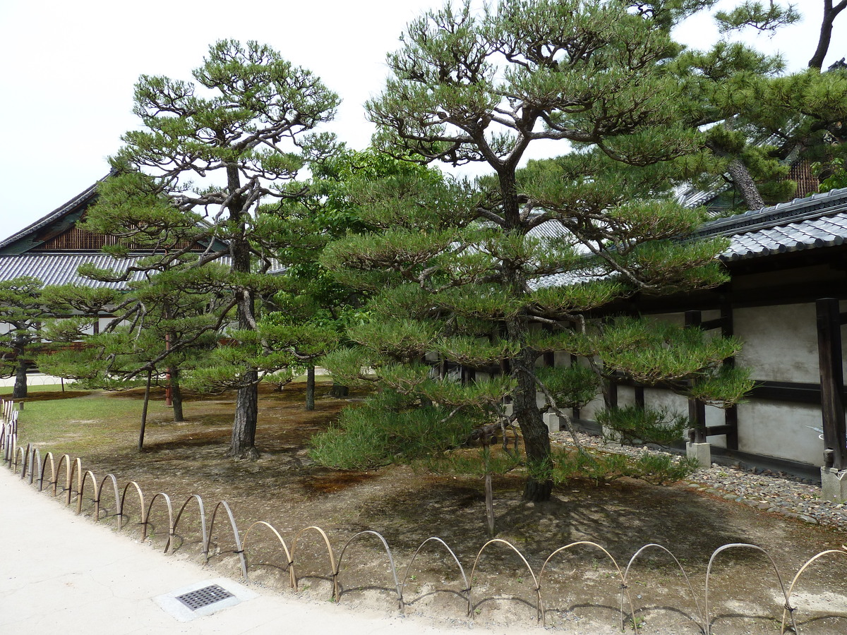 Picture Japan Kyoto Nijo Castle 2010-06 80 - Monument Nijo Castle