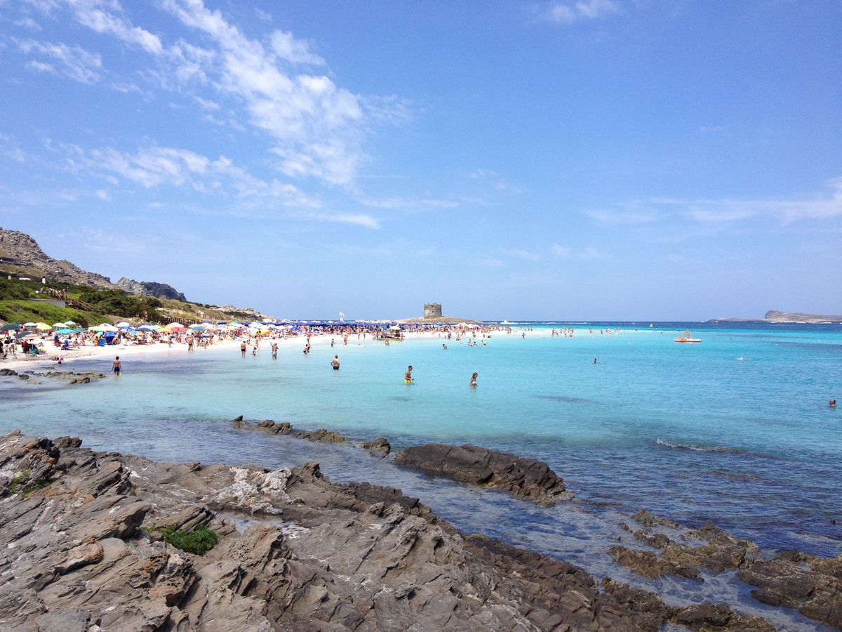 Picture Italy Sardinia Capo del Falcone 2015-06 11 - Summer Capo del Falcone