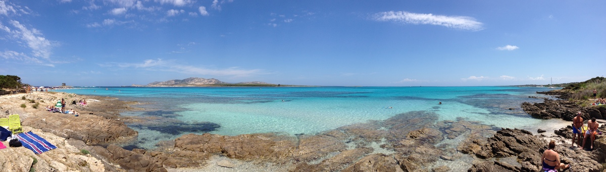 Picture Italy Sardinia Capo del Falcone 2015-06 12 - Land Capo del Falcone