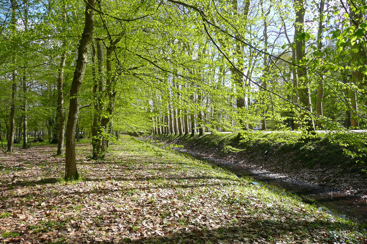 Picture France Chenonceau Castle Gardens of Chenonceau 2008-04 23 - Accomodation Gardens of Chenonceau