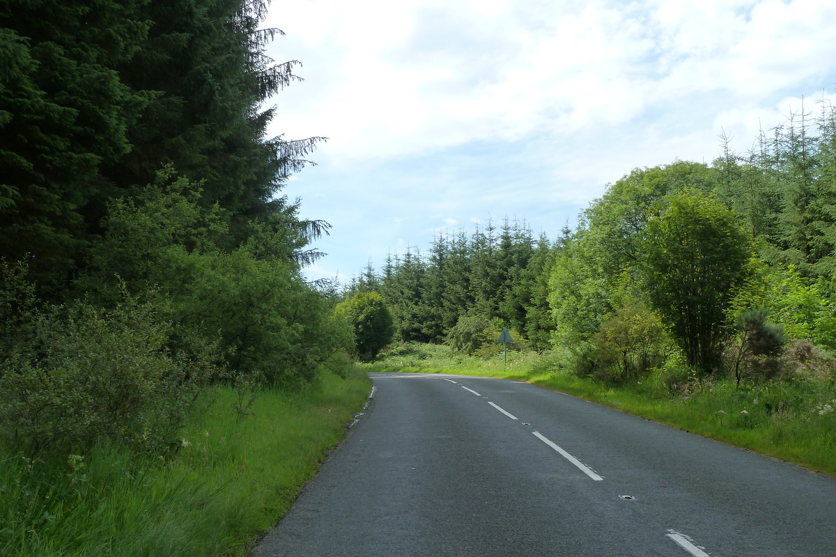 Picture United Kingdom The Trossachs 2011-07 128 - Hot Season The Trossachs