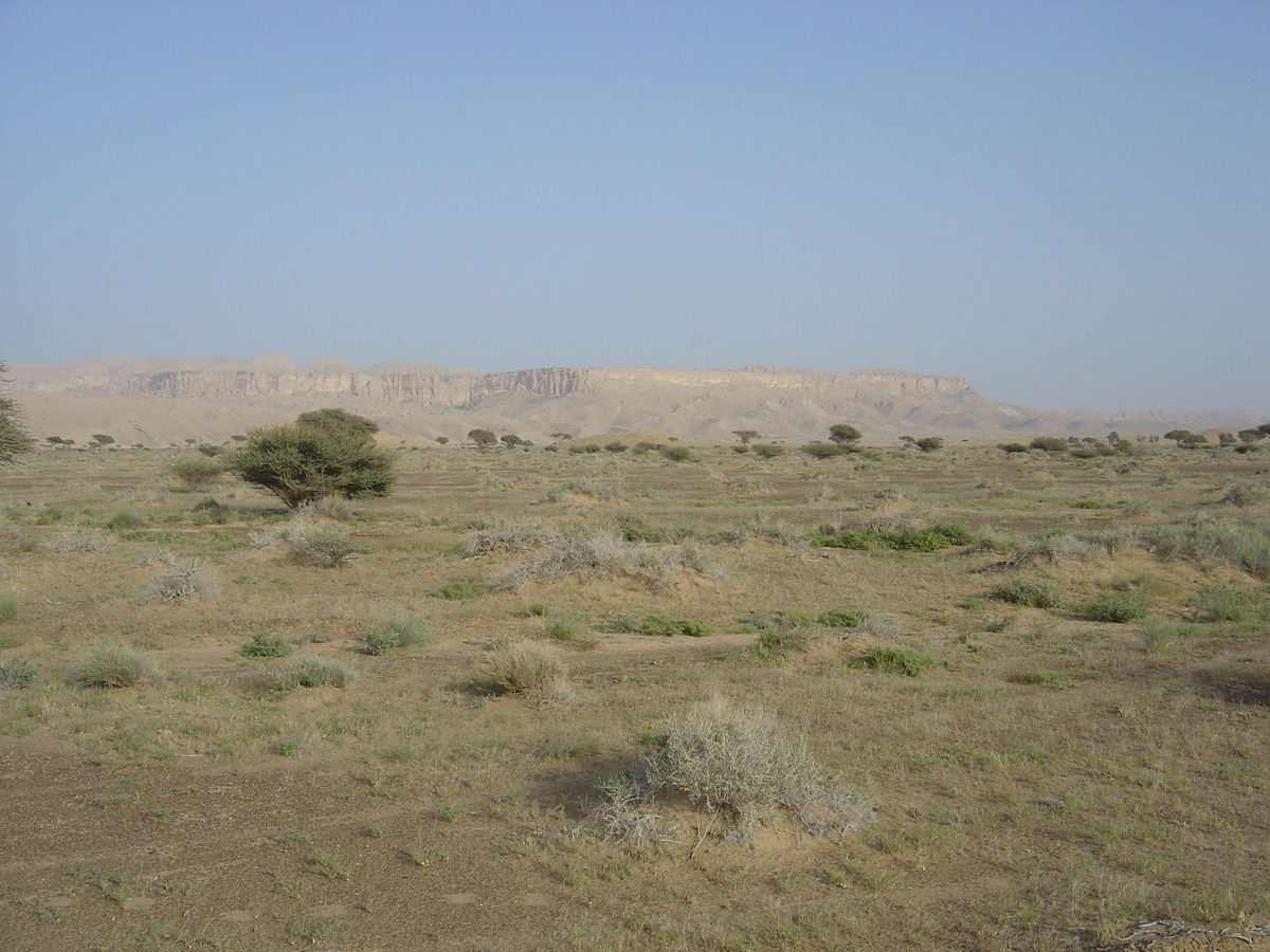 Picture Sultanate of Oman Buraimi to Mahada road 2005-03 2 - City View Buraimi to Mahada road