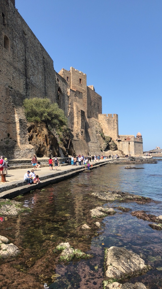 Picture France Collioure 2018-04 124 - Monuments Collioure