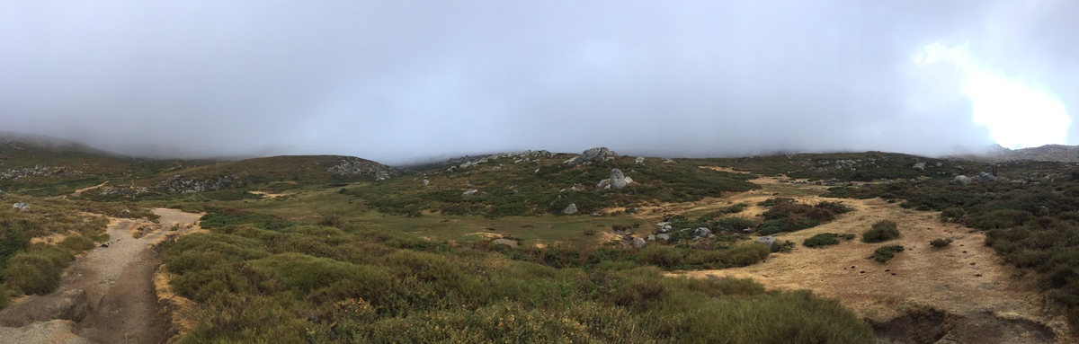 Picture France Corsica Alta Rocca 2017-09 16 - Rain Season Alta Rocca