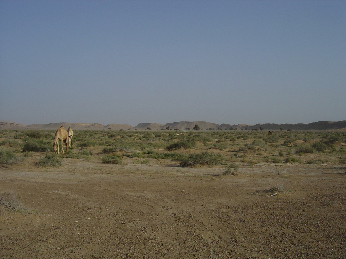 Picture Sultanate of Oman Buraimi to Mahada road 2005-03 44 - City Sight Buraimi to Mahada road