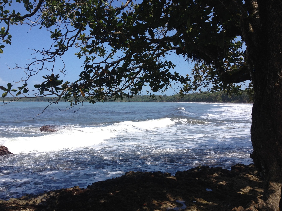 Picture Costa Rica Cahuita 2015-03 246 - Rooms Cahuita