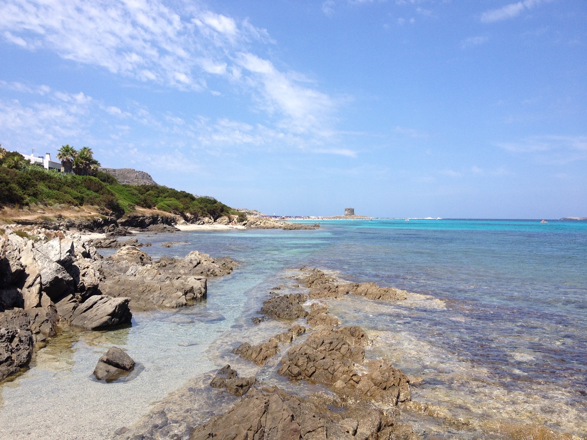 Picture Italy Sardinia Capo del Falcone 2015-06 48 - Resorts Capo del Falcone