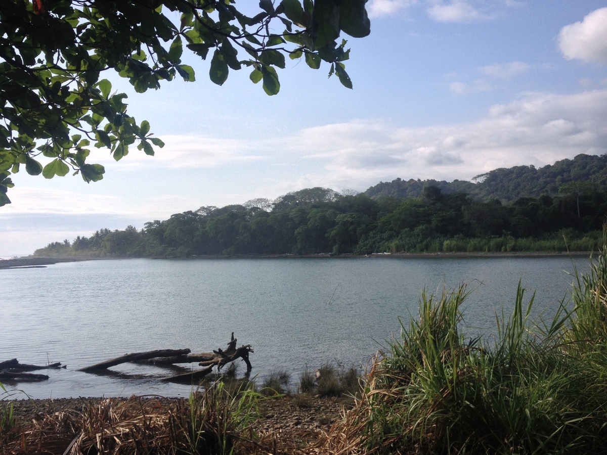 Picture Costa Rica Dominical 2015-03 77 - Waterfall Dominical