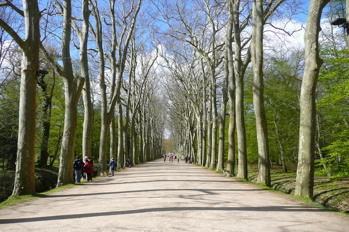 Picture France Chenonceau Castle Gardens of Chenonceau 2008-04 70 - Winter Gardens of Chenonceau