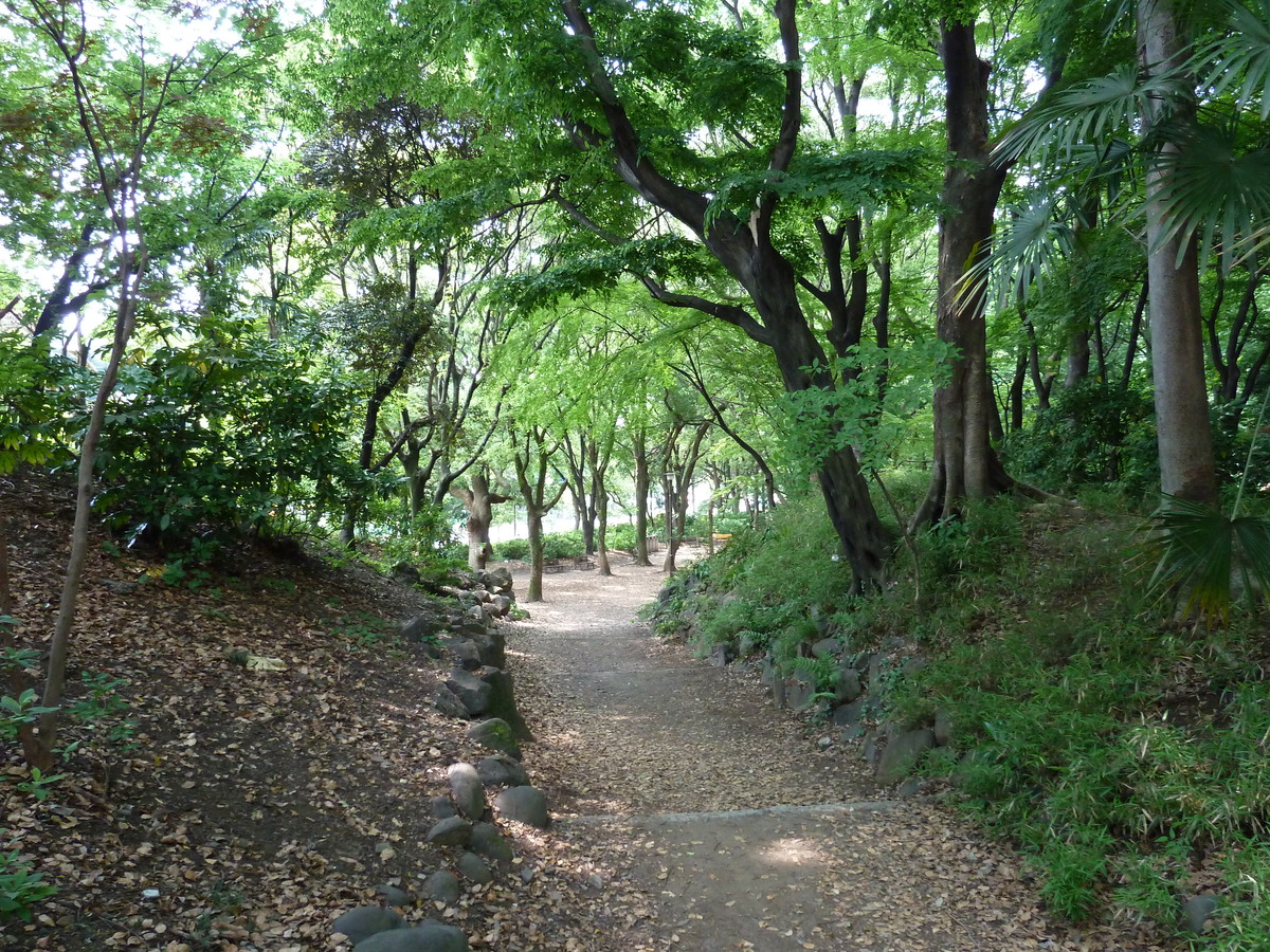 Picture Japan Tokyo Shiba Park 2010-06 7 - Sauna Shiba Park