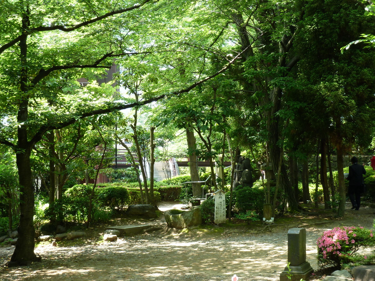 Picture Japan Tokyo Shiba Park 2010-06 11 - Land Shiba Park