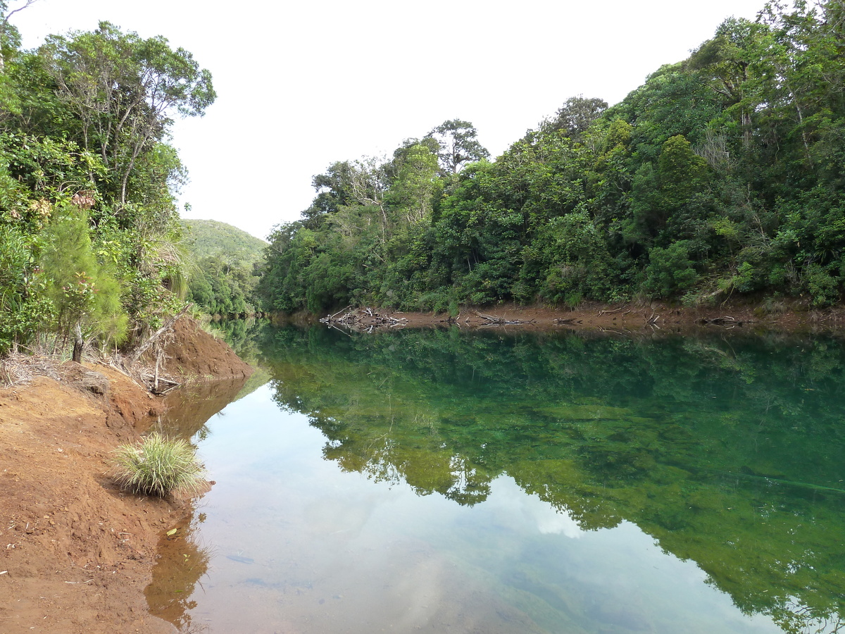 Picture New Caledonia Parc de la Riviere Bleue 2010-05 163 - Lake Parc de la Riviere Bleue