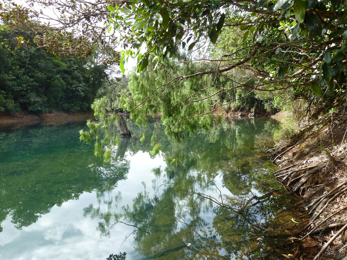 Picture New Caledonia 2010-05 101 - Lakes New Caledonia