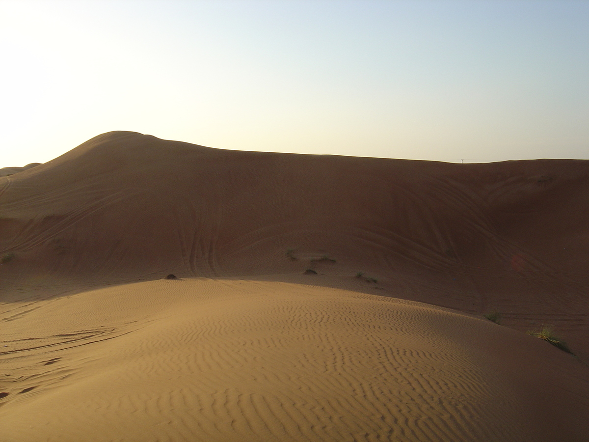 Picture United Arab Emirates Al Ain Desert 2005-11 23 - Sauna Desert