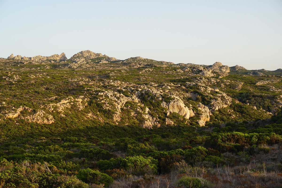 Picture France Corsica Tonnara Beach 2017-07 19 - City View Tonnara Beach