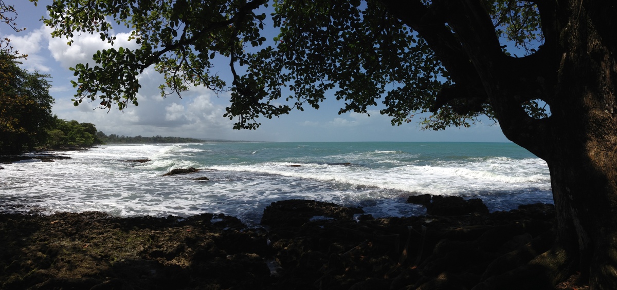 Picture Costa Rica Cahuita 2015-03 0 - Rooms Cahuita