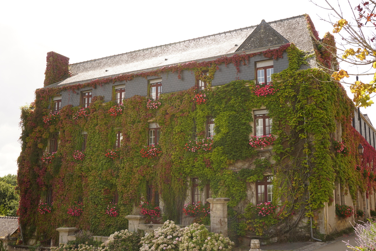 Picture France Rochefort-en-Terre 2017-08 1 - Restaurants Rochefort-en-Terre