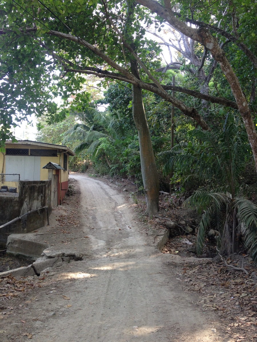 Picture Costa Rica Montezuma 2015-03 236 - Rain Season Montezuma