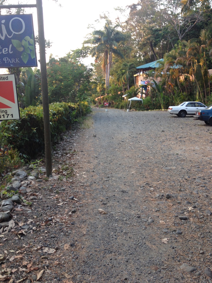 Picture Costa Rica Manuel Antonio 2015-03 518 - Hotel Manuel Antonio