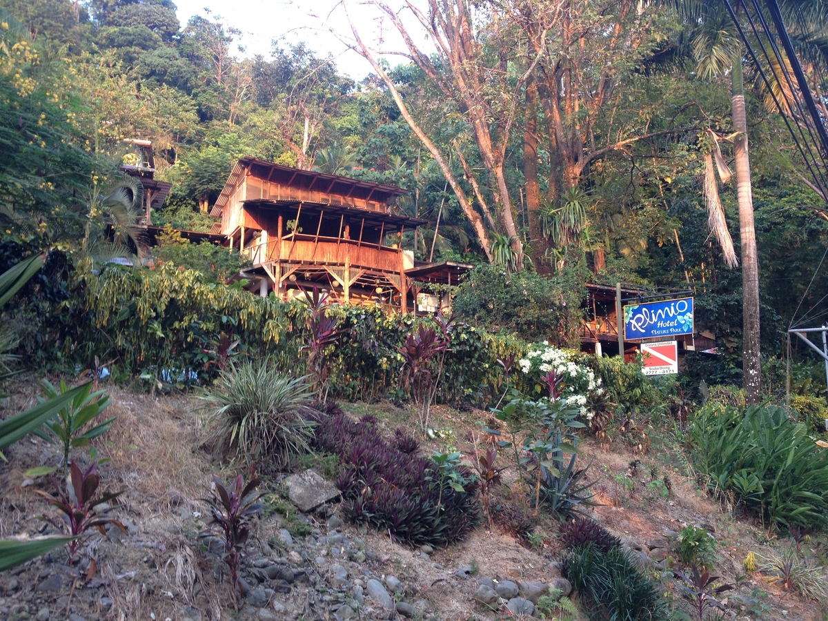 Picture Costa Rica Manuel Antonio 2015-03 405 - Hotel Pools Manuel Antonio