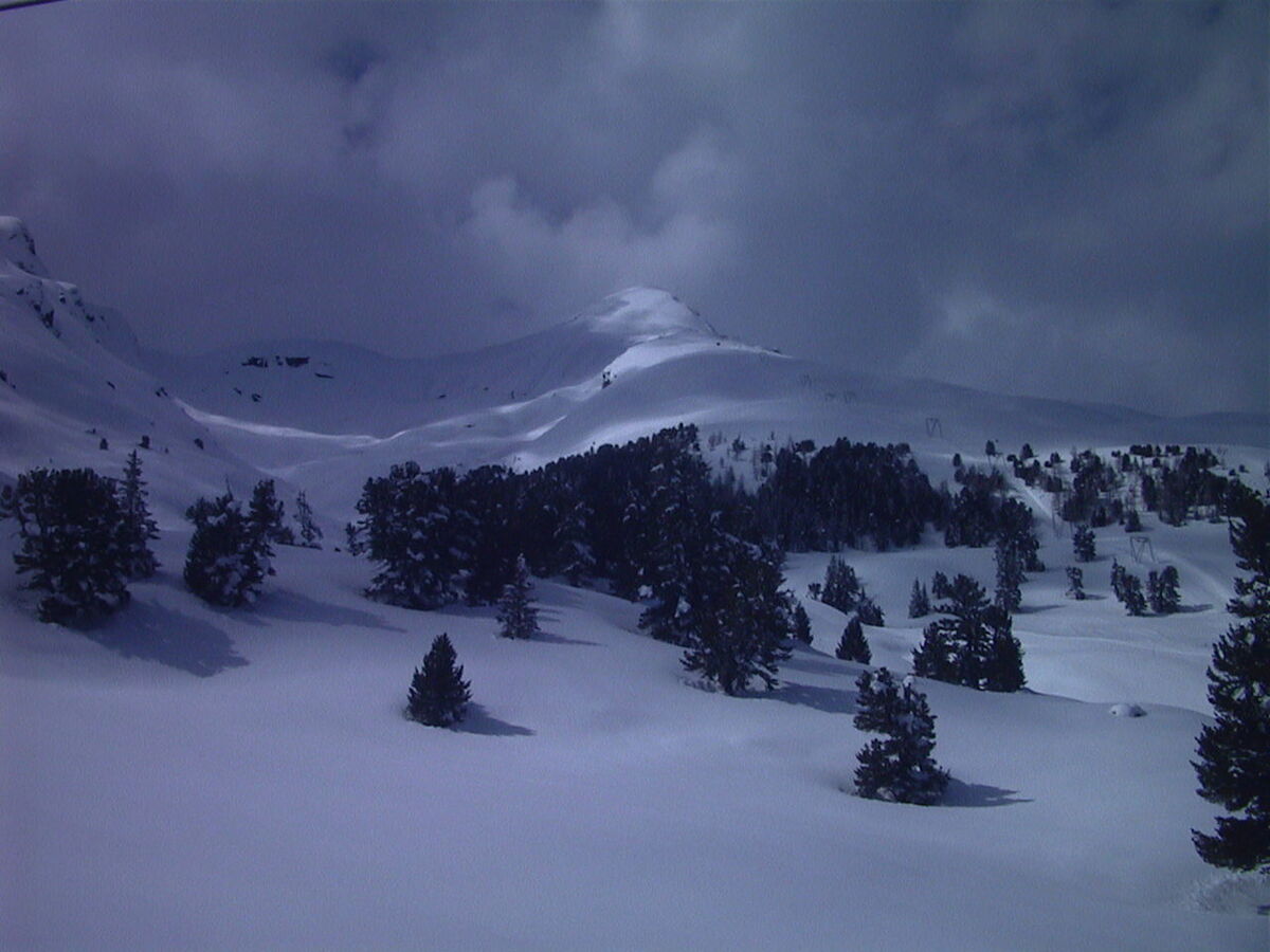 Picture Swiss Grindelwald 1999-04 18 - Rentals Grindelwald