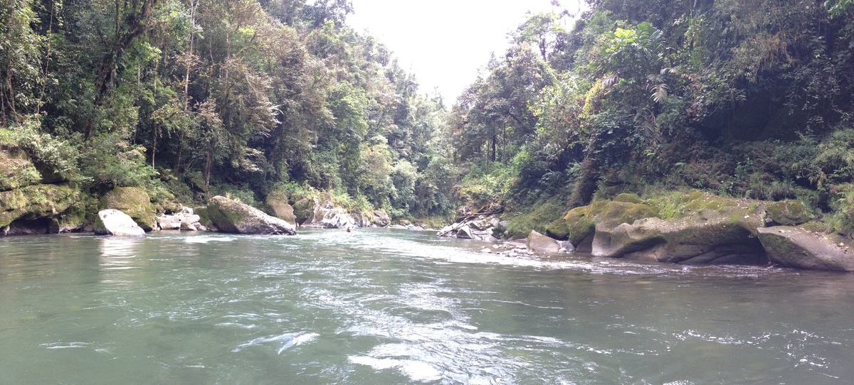 Picture Costa Rica Pacuare River 2015-03 165 - Waterfalls Pacuare River