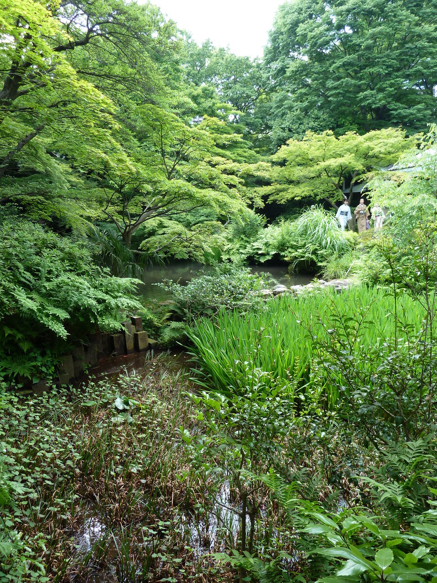 Picture Japan Tokyo Nezu Museum 2010-06 62 - Waterfalls Nezu Museum